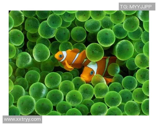 绿色头发的足球明星女性展现独特魅力与运动精神的完美结合